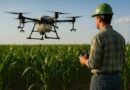Engenheiro Agrônomo: o profissional que ascende junto com o agro e a tecnologia Engenheiro Agrônomo: o profissional que ascende junto com o agro e a tecnologia
