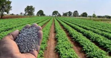 Fertilizantes sobem até 39% em MS Fertilizantes sobem até 39% em MS